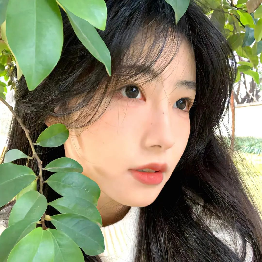 年轻女子 封面