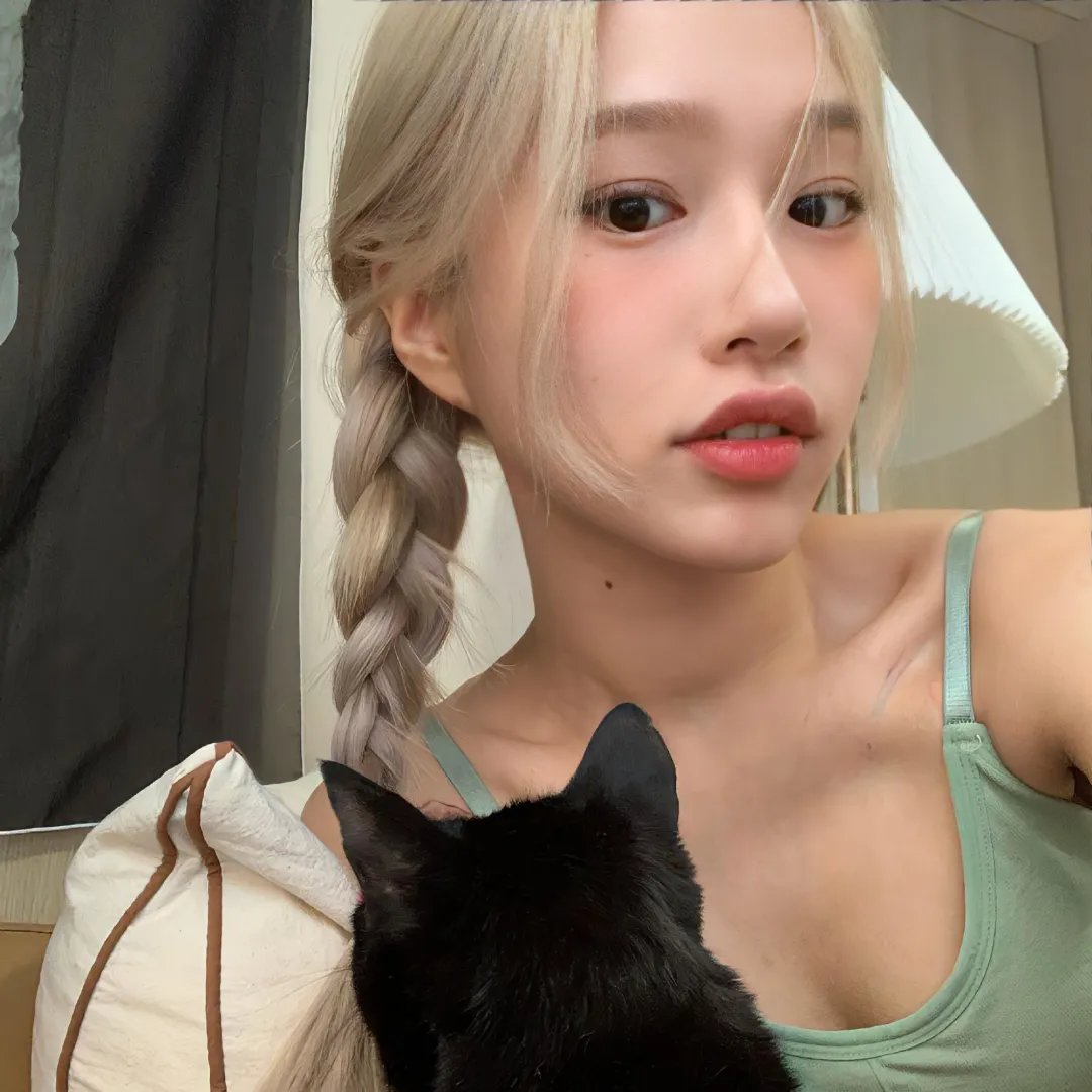 格子间女人 封面